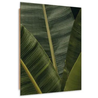 Tableau Bois Banane Plante Exotique 40 X 60 Cm Vert Tableau Bois Banane Plante Exotique 40 X 60 Cm Vert