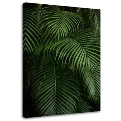 Tableau Feuilles De Palmier Vertes 40 X 60 Cm Vert Tableau Feuilles De Palmier Vertes 40 X 60 Cm Vert