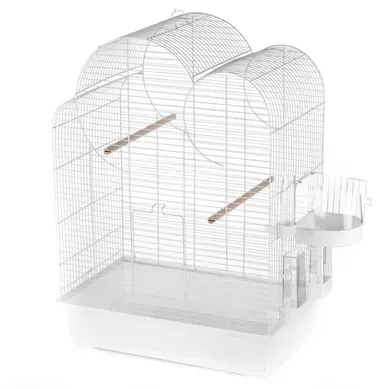 Cage Eliza Cage Eliza