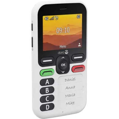 Téléphone Mobile Levax10blanc