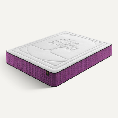 Matelas Mousse 120x200cm LIFE TREE - Accueil Mémoire De Forme - Ferme - Réversible - Epaisseur 30cm Matelas Mousse 120x200cm LIFE TREE - Accueil Mémoire De Forme - Ferme - Réversible - Epaisseur 30cm