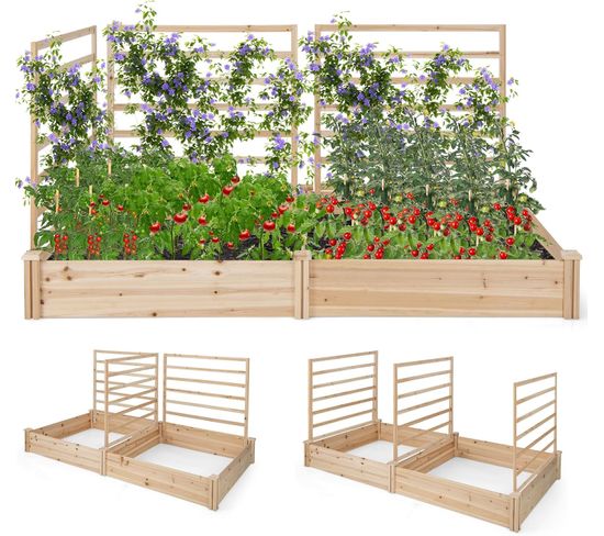 Jardinière Avec 3 Treillis En Bois Avec Base Ouverte, 2 Bacs à Fleurs Extérieur(222 X 114 X 110 Cm)