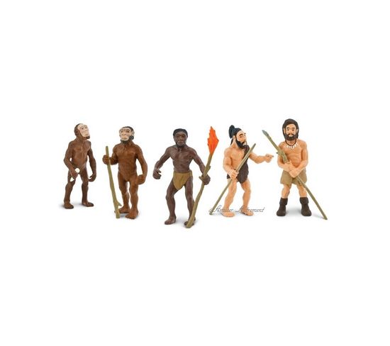 5 Figurines Évolution De L'homme
