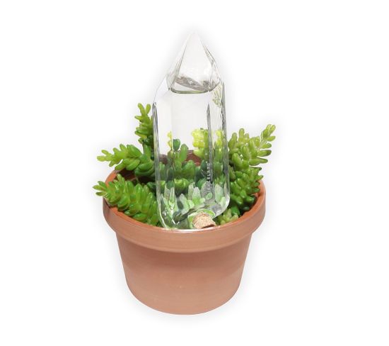 Cristal Irrigant Pour Plantes Transparent
