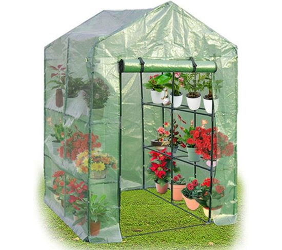 Serre De Jardinage Serre De Jardin Chaud Serre à Tomates Tente En Vert Transparent 143x143x195cm