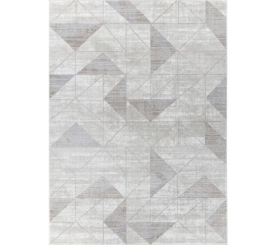 Tapis Scandinave Moderne Blanc/gris 200x275