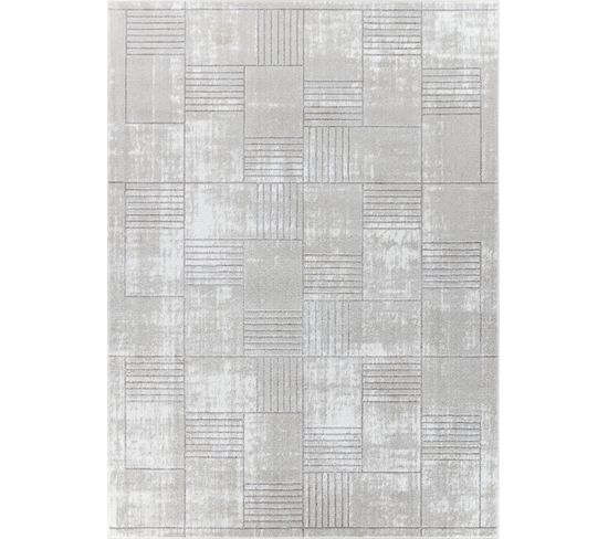 Tapis Scandinave Moderne Gris/blanc 200x275