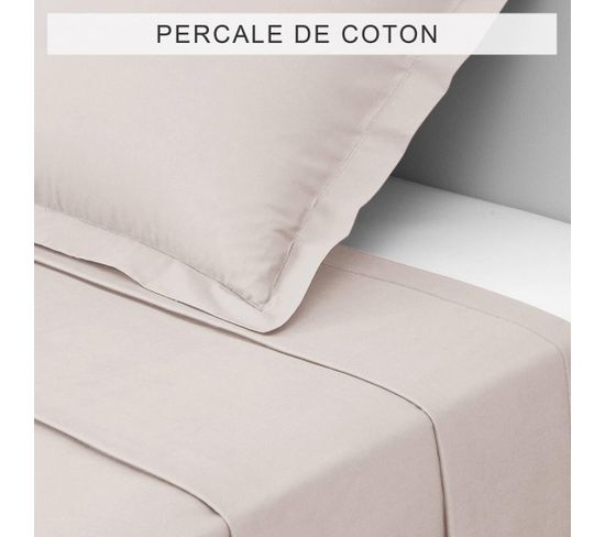 Drap Plat Percale Coton Tertio®  Beige -270 X 300