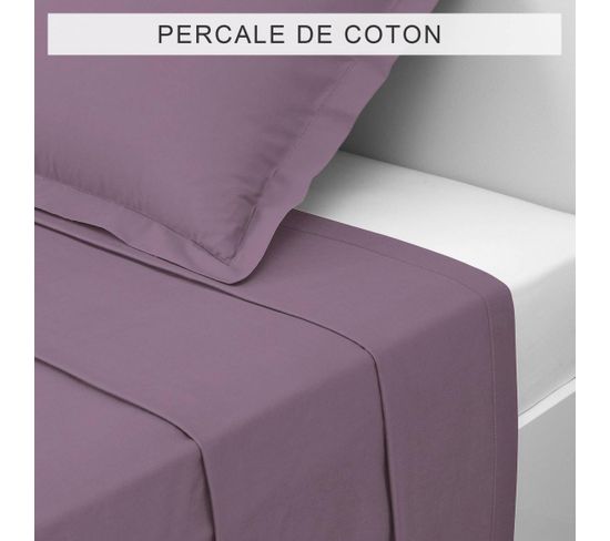 Drap Plat Percale Coton Tertio®  Violet -180 X 290