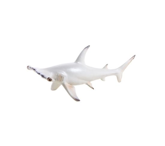Requin Marteau En Résine Blanc