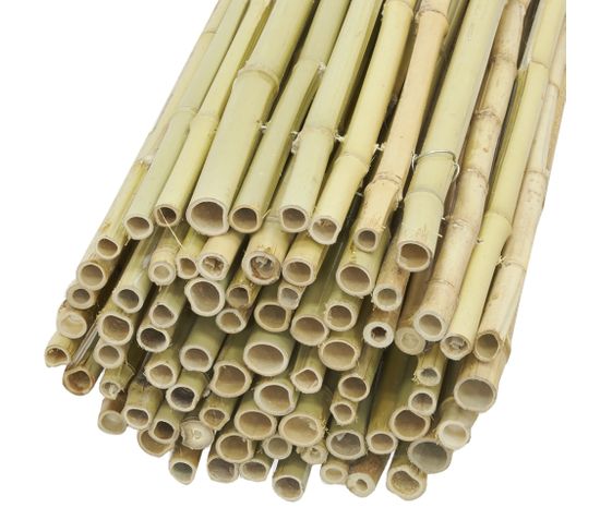 Canisse En Bambou 1m X 1.8m