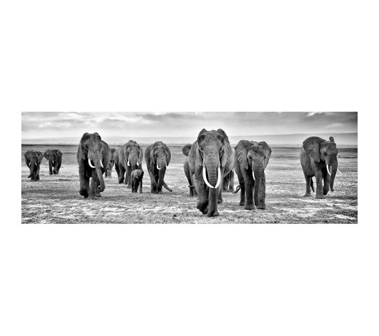 Tableau Sur Toile Troupeau D'éléphants Noir et Blanc 30x97 Cm