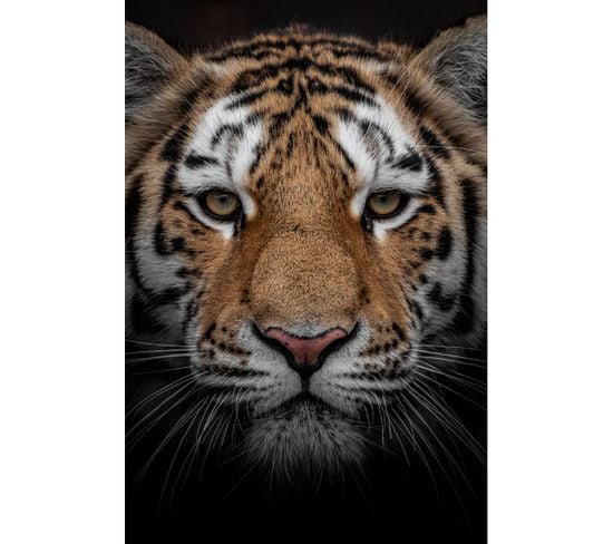 Tableau Sur Toile Portrait D'un Tigre 65x97 Cm