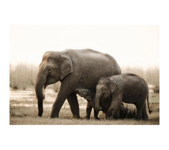 Tableau Sur Toile Famille D'éléphants 45x65 Cm