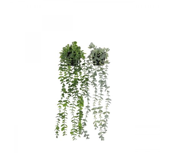 Plante Succulente Retombante Artificielle 50cm Lot De 2