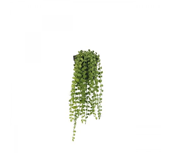 Plante Succulente Retombante Artificielle 40cm