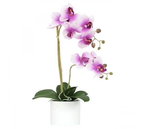 Orchidees Artificielles Fuchsia 55cm