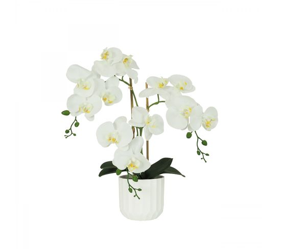 Orchidees Artificielles Toucher Naturel Blanc 52cm
