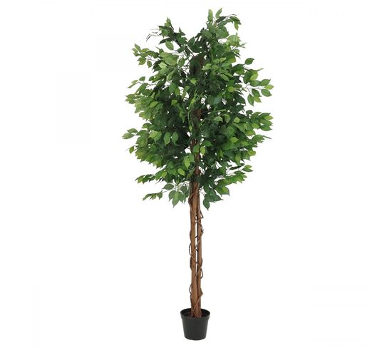 Ficus Artificiel Vert 210cm