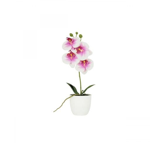 Orchidee Artificielle Blanc-fuchsia 35cm