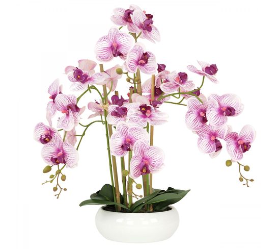 Orchidees Artificielles Blanches Fuchsias 55cm