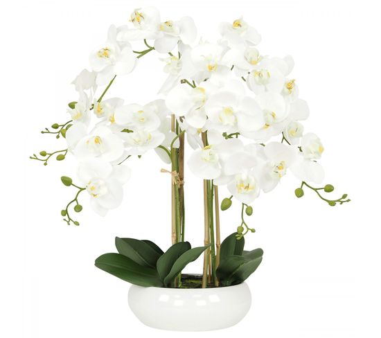Orchidees Artificielles Blanche 55cm