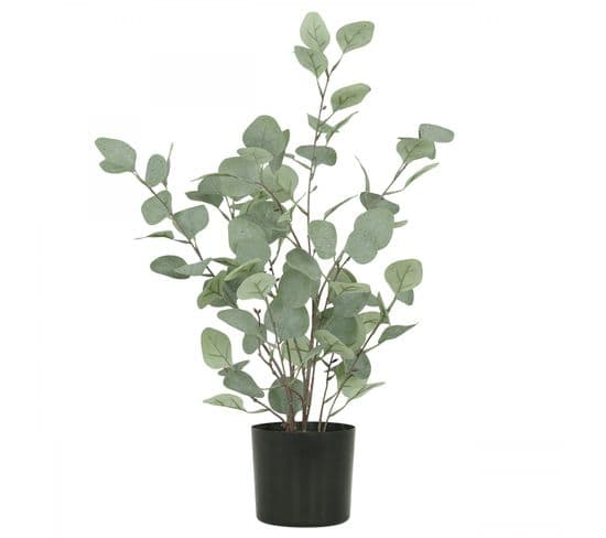 Eucalyptus Artificiel Effet Blanchi 60cm