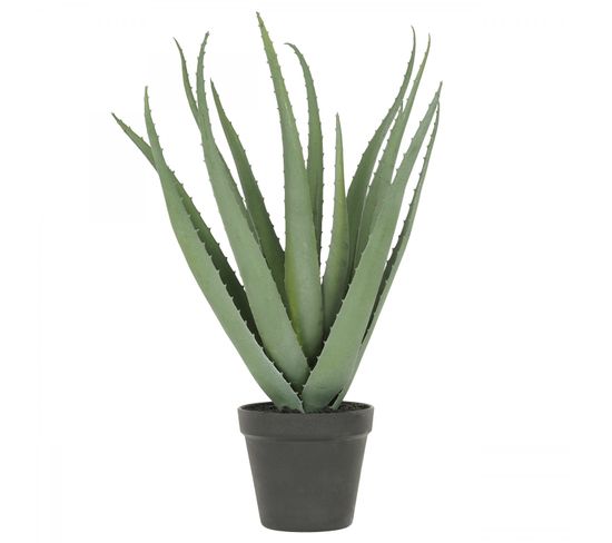 Aloe Vera Artificiel 45cm