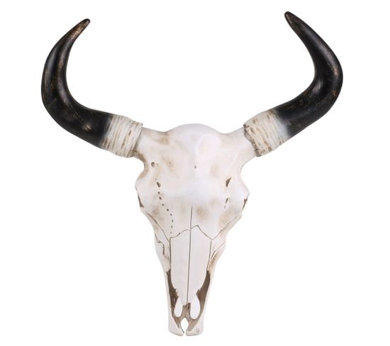 Crâne De Vache Déco 41 Cm