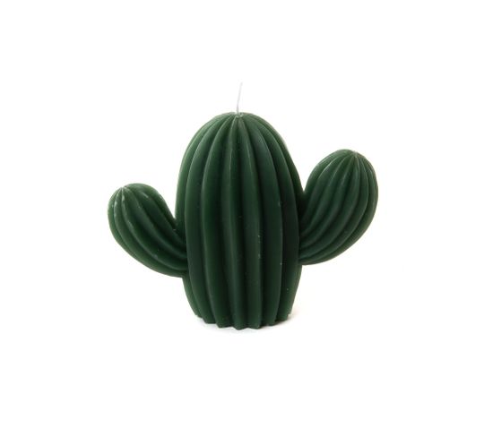 Bougie Cactus Vert (lot De 6)