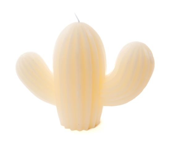 Bougie Cactus Blanc