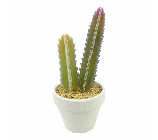 Plante Artificielle En Pot 1 Tige "cactus" 22cm Blanc