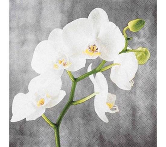 Lot De 20 Serviettes En Papier "orchidée" 25x25cm Gris