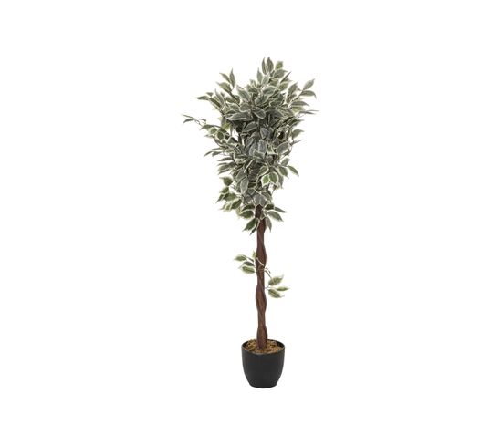 Plante Artificielle Ficus En Pot H 120 Cm