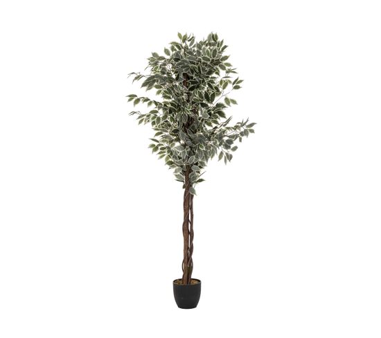 Plante Artificielle Ficus En Pot H 180 Cm
