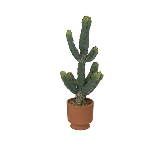 Plante Artificielle Cactus Dans Pot En Terre Cuite H 49 Cm