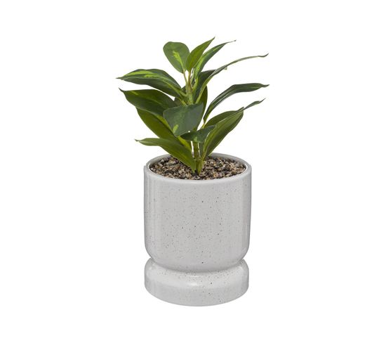 Plante Verte Artificielle Pot En Céramique H 30 Cm