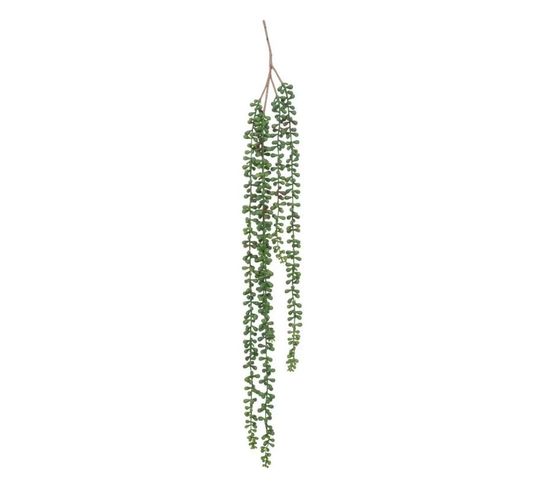 Plante Tombante Déco "séneçon" 37cm Vert