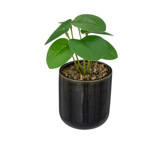 Plante Verte Artificielle Pot En Céramique Noire Émaillée H 16 Cm
