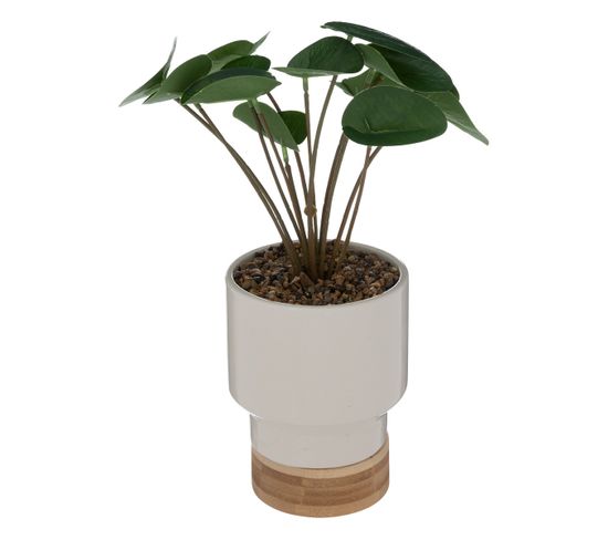 Plante Artificielle Pot En Céramique Blanc Cassé Et Bambou H 26 Cm
