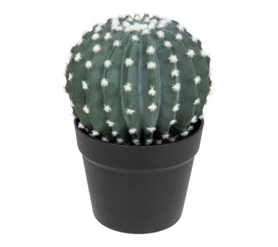 Plante Artificielle Cactus En Pot H 25 Cm