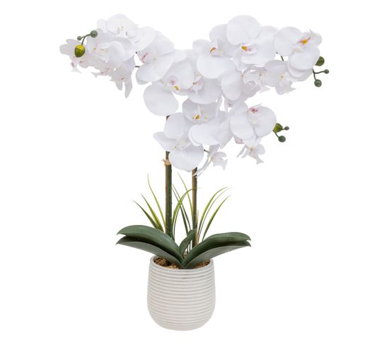 Plante Artificielle Orchidée Blanche Pot En Céramique Striée H 65 Cm