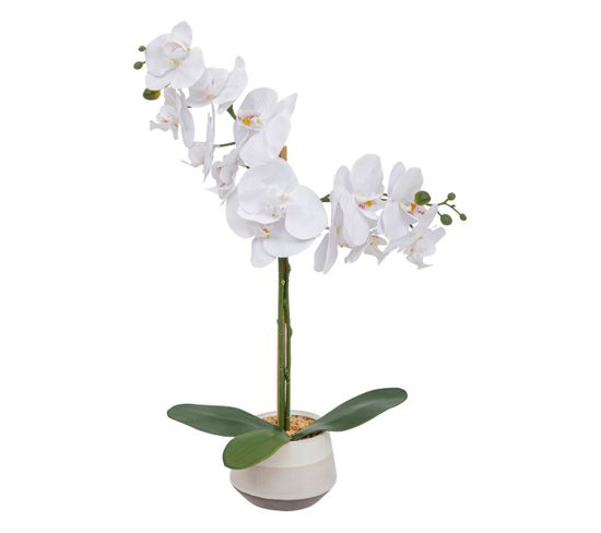 Plante Artificielle Orchidée Blanche Pot En Céramique Bicolore H 52 Cm