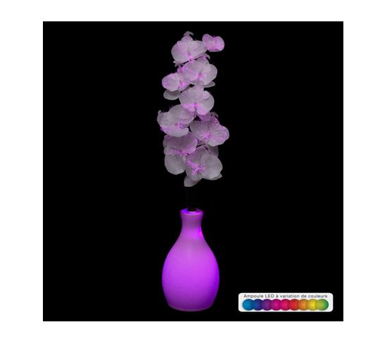 Branche D'orchidée Avec Vase Et Lumineuse À Variation De Couleur