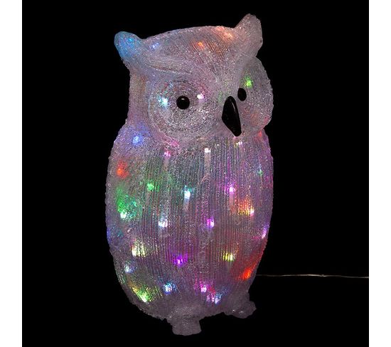Hibou Lumineux 60 LED - Multicolore