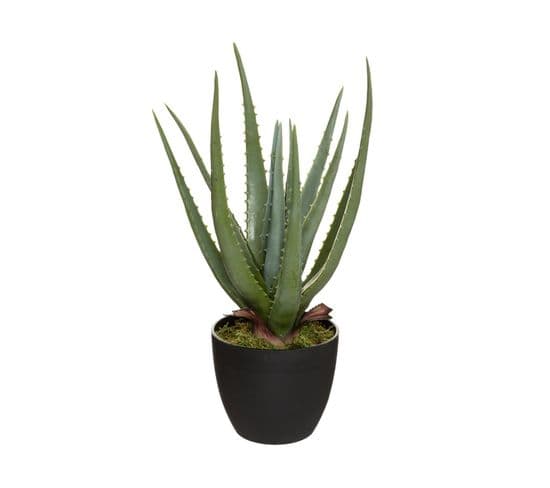 Plante Artificielle Aloe Vera En Pot H 42 Cm