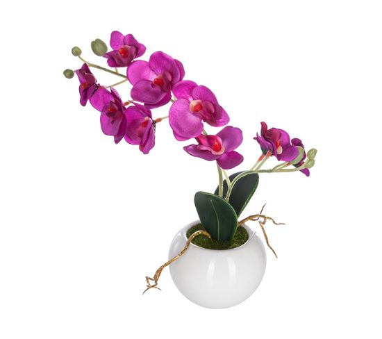 Plante Artificielle Orchidée En Pot Céramique H 25 Cm