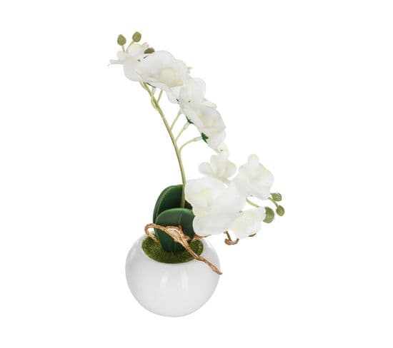 Plante Artificielle Orchidée En Pot Céramique H 25 Cm