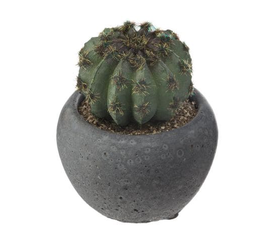 Plante Artificielle Cactus En Pot