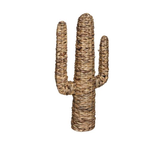 Objet Déco Cactus En Jacinthe H 75 Cm